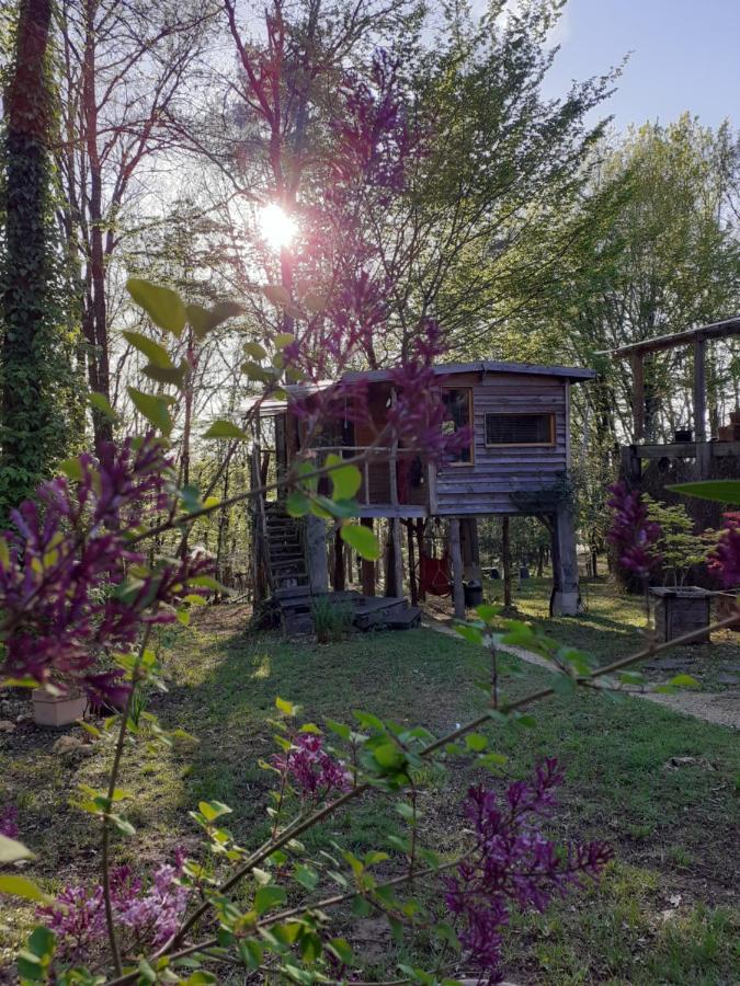 La Cabane De L'Oiseau Couze-et-Saint-Front Buitenkant foto