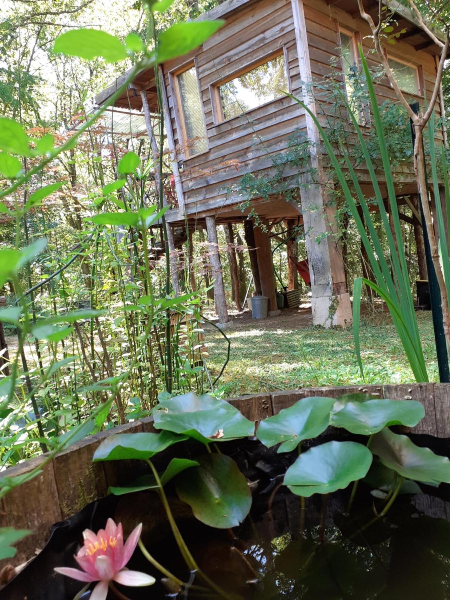 La Cabane De L'Oiseau Couze-et-Saint-Front Buitenkant foto