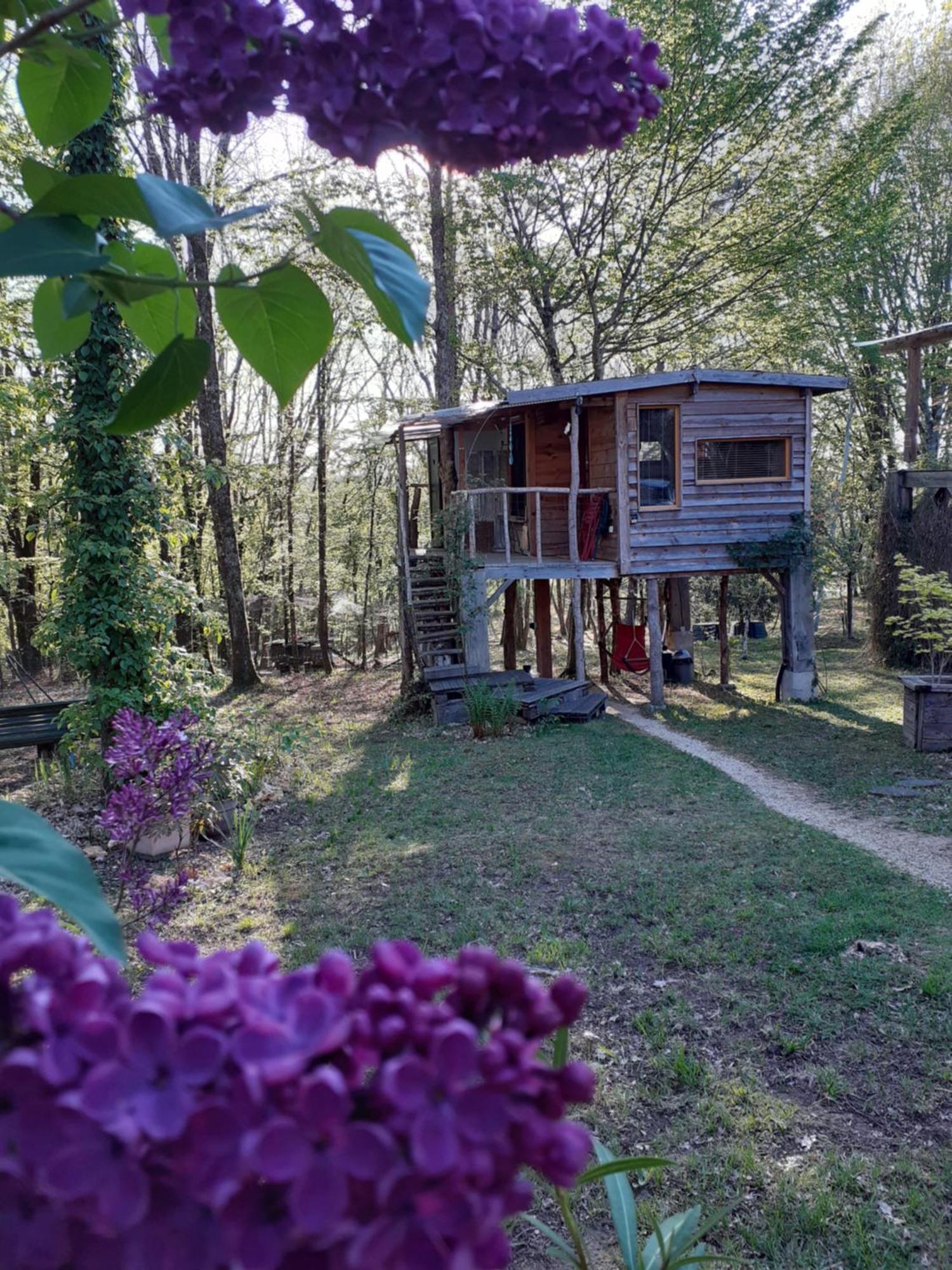 La Cabane De L'Oiseau Couze-et-Saint-Front Buitenkant foto