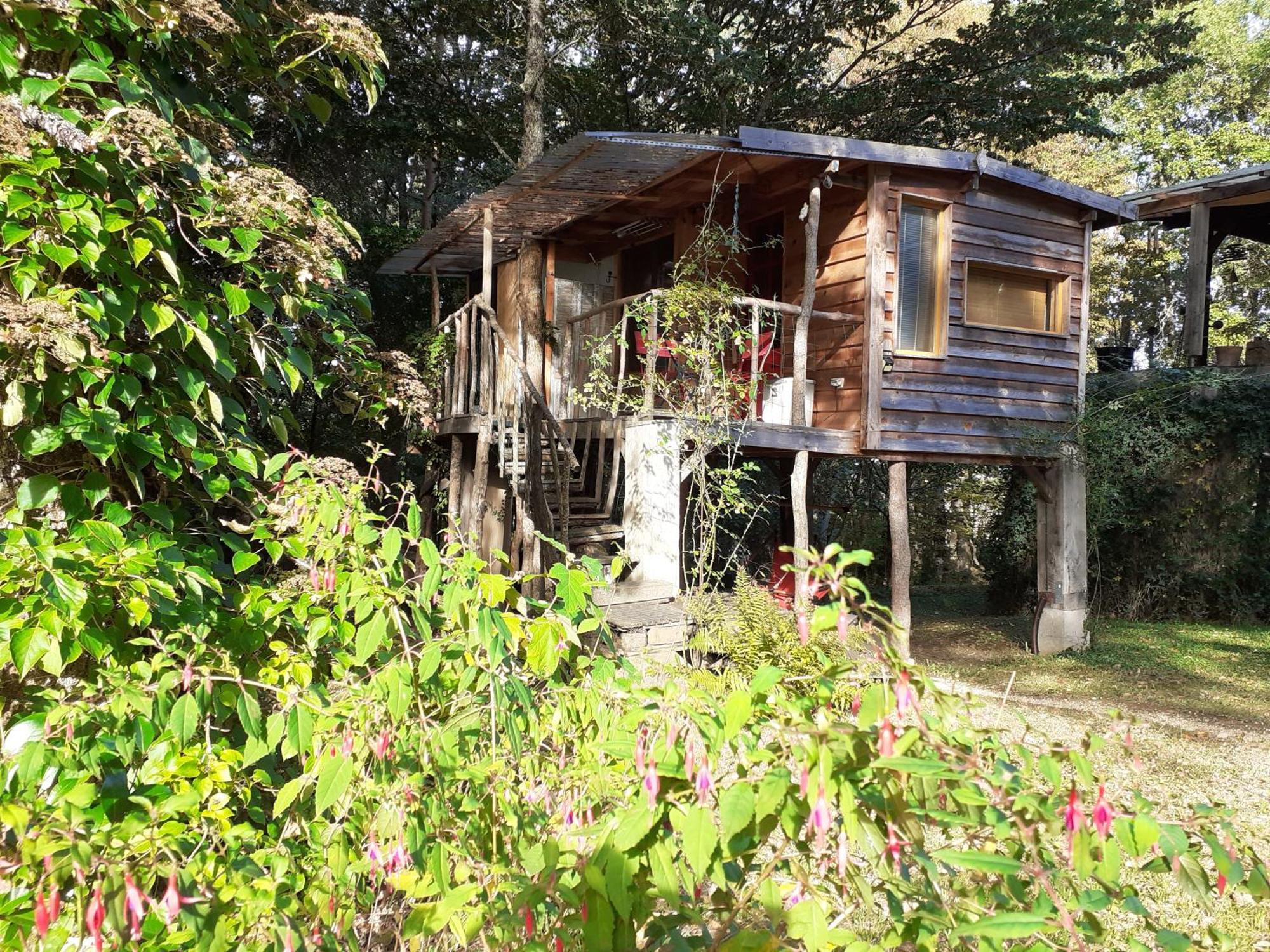 La Cabane De L'Oiseau Couze-et-Saint-Front Buitenkant foto