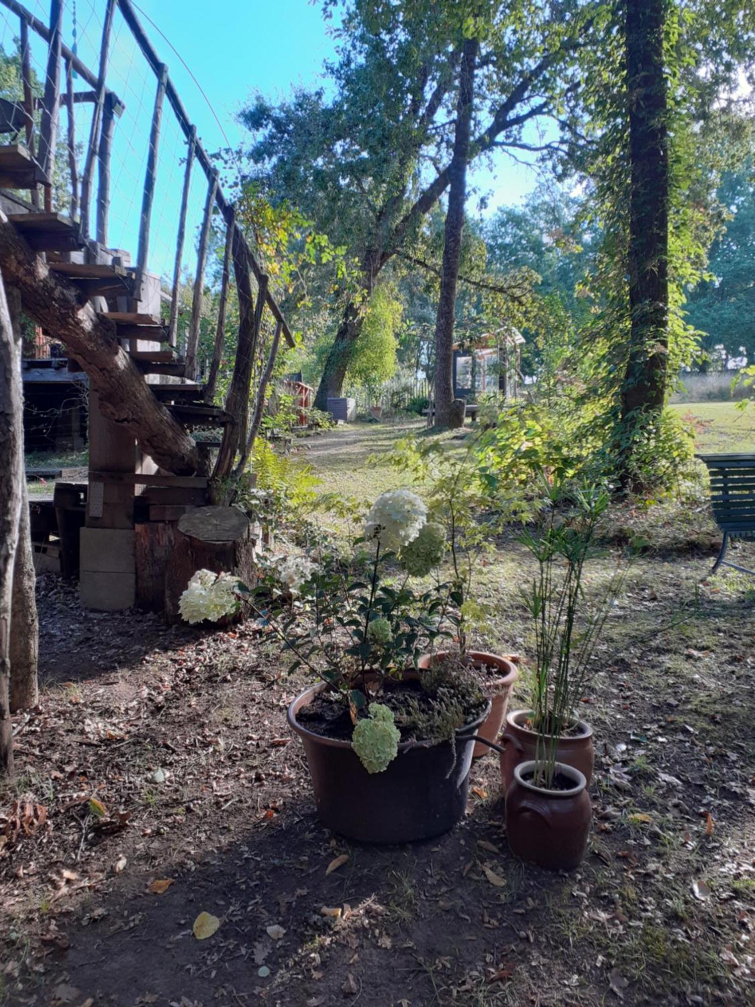 La Cabane De L'Oiseau Couze-et-Saint-Front Buitenkant foto