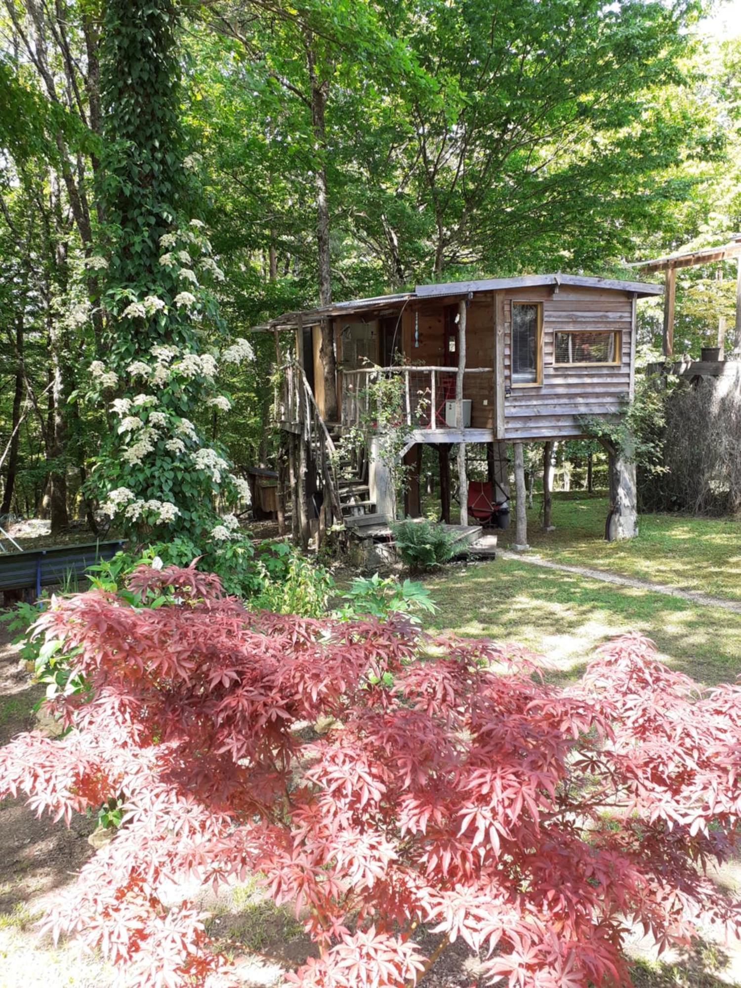 La Cabane De L'Oiseau Couze-et-Saint-Front Buitenkant foto